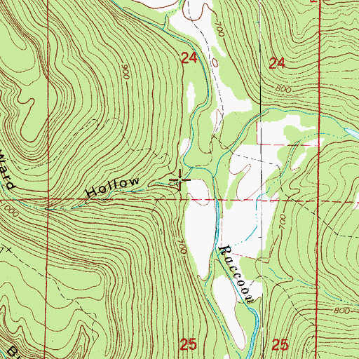 Topographic Map of Ward Hollow, AR