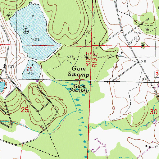Topographic Map of Gum Swamp, LA