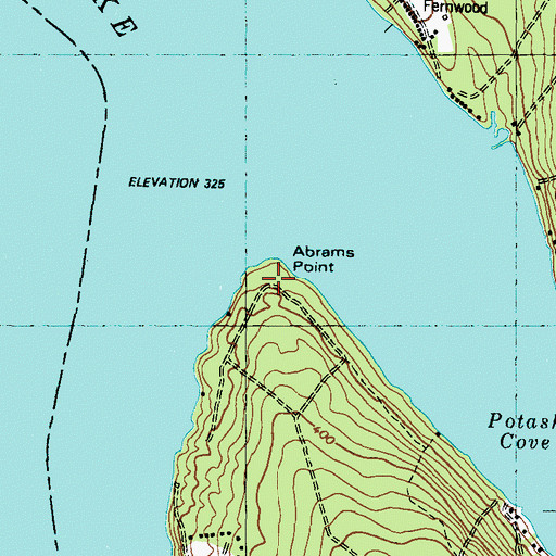 Topographic Map of Abrams Point, ME