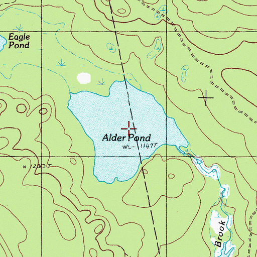 Topographic Map of Alder Pond, ME