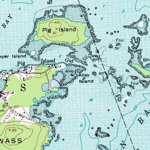 Topographic Map of Alley Island, ME
