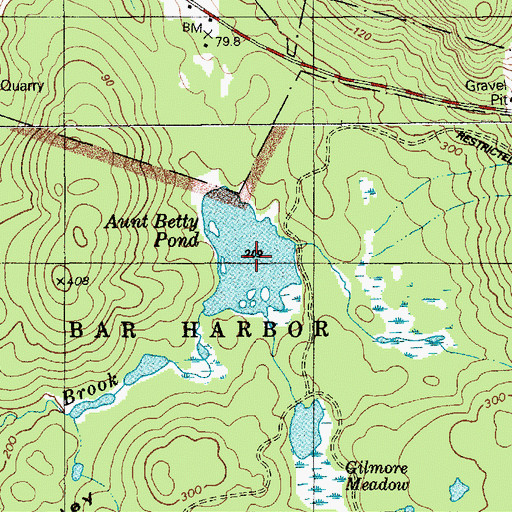 Topographic Map of Aunt Betty Pond, ME
