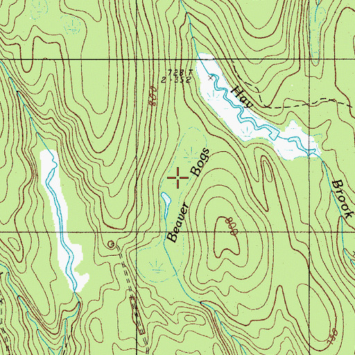 Topographic Map of Beaver Bogs, ME