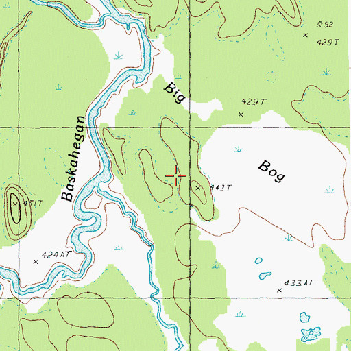 Topographic Map of Big Bog, ME