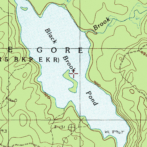 Topographic Map of Black Brook Pond, ME
