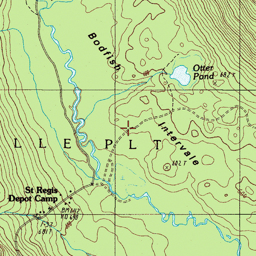Topographic Map of Bodfish Intervale, ME