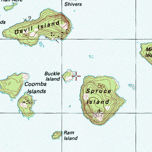 Topographic Map of Buckle Island, ME