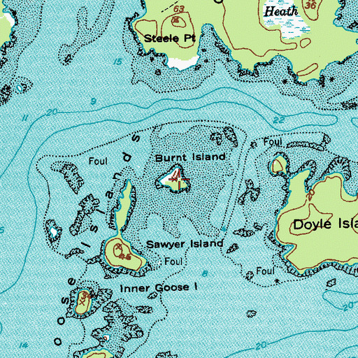 Topographic Map of Burnt Island, ME