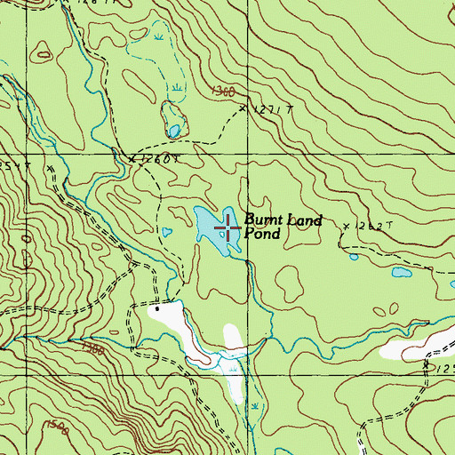 Topographic Map of Burnt Land Pond, ME