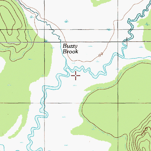 Topographic Map of Buzzy Brook, ME