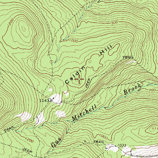Topographic Map of Caldin Hill, ME