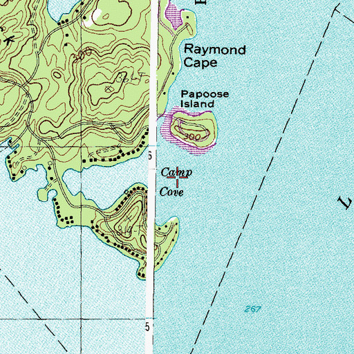 Topographic Map of Camp Cove, ME
