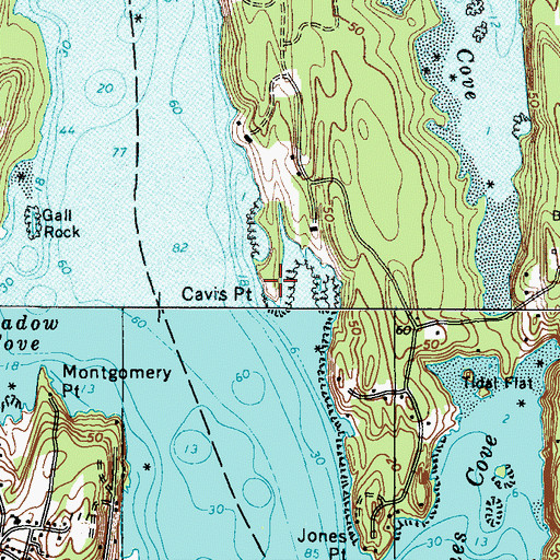 Topographic Map of Cavis Point, ME