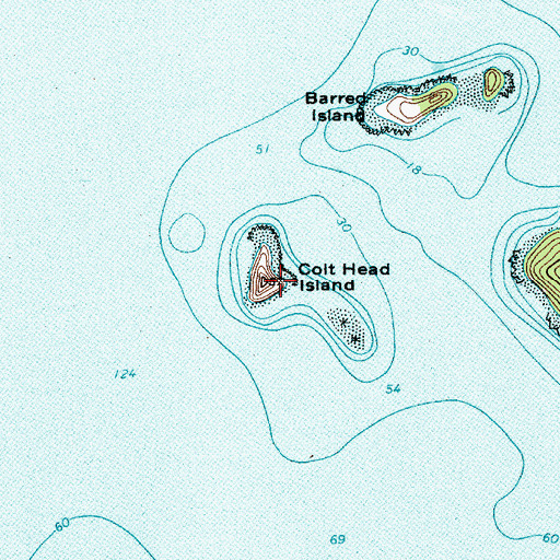 Topographic Map of Colt Head Island, ME