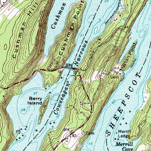 Topographic Map of Cowseagan Narrows, ME