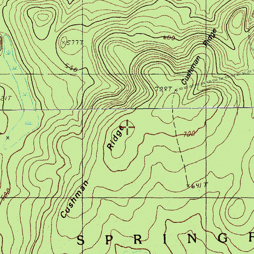 Topographic Map of Cushman Ridge, ME