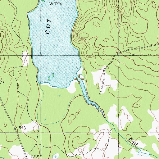 Topographic Map of Cut Brook, ME