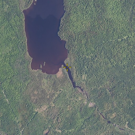 Aerial/Satellite Image of Cut Brook, ME