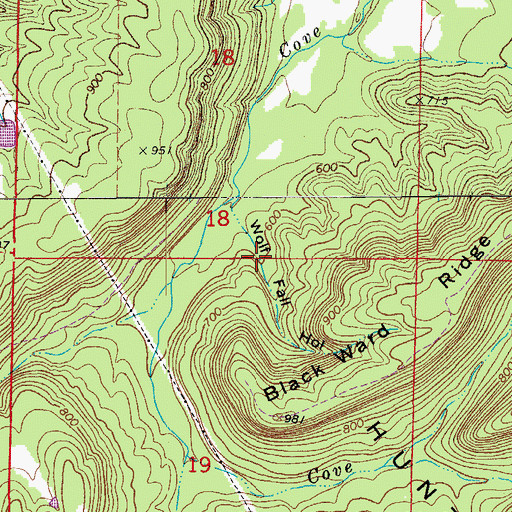 Topographic Map of Wolf Fall Hollow, AR