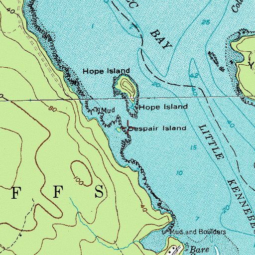 Topographic Map of Despair Island, ME