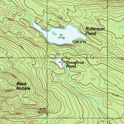 Topographic Map of Doughnut Pond, ME