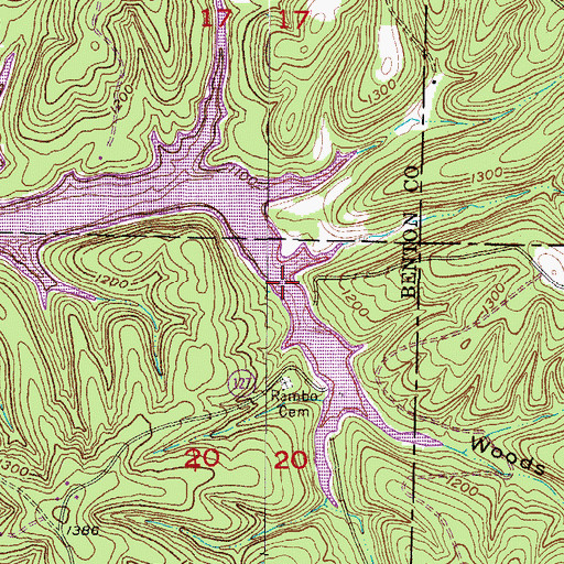 Topographic Map of Woods Hollow, AR