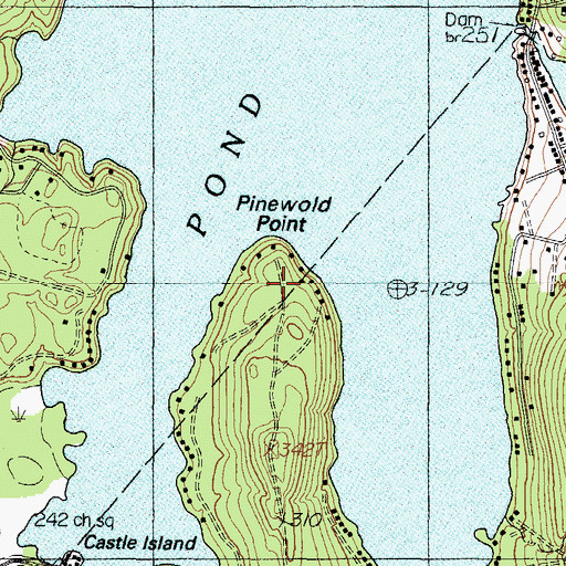 Topographic Map of Pinewold Point, ME