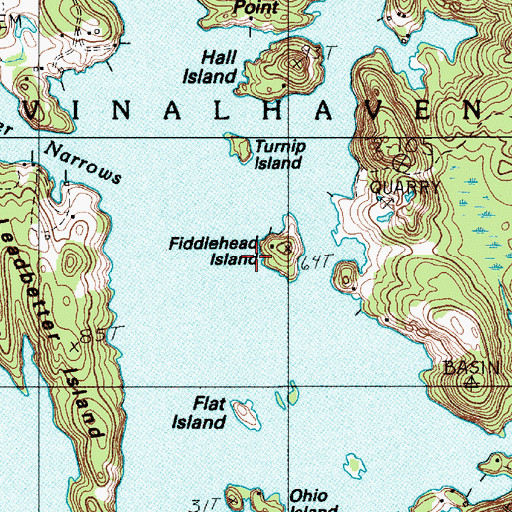 Topographic Map of Fiddlehead Island, ME