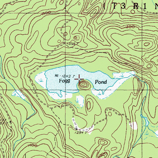 Topographic Map of Fogg Pond, ME