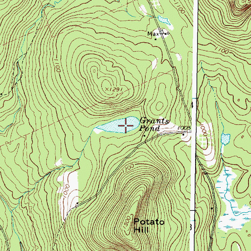 Topographic Map of Grants Pond, ME