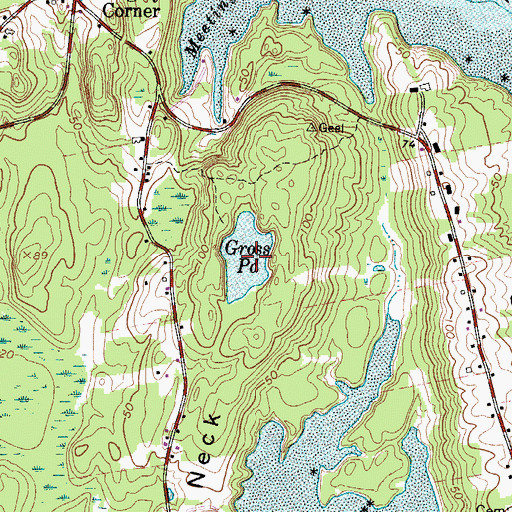 Topographic Map of Gross Pond, ME