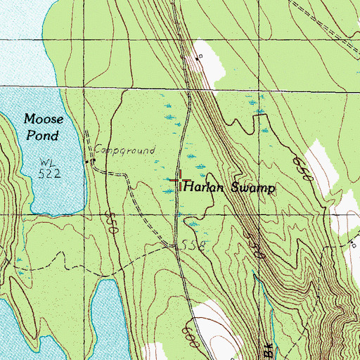 Topographic Map of Harlan Swamp, ME