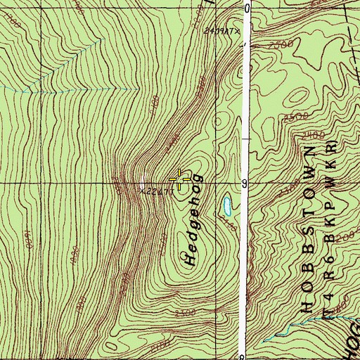 Topographic Map of Hedgehog Mountain, ME