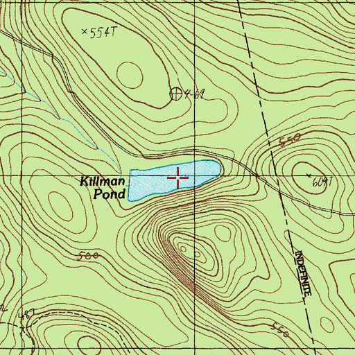 Topographic Map of Selmore Pond, ME