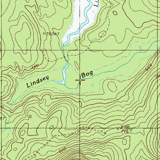 Topographic Map of Lindsey Bog, ME