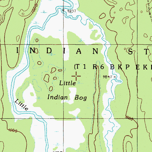 Topographic Map of Little Indian Bog, ME