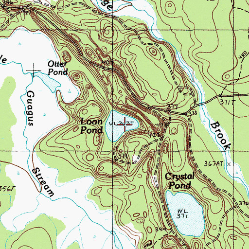 Topographic Map of Loon Pond, ME