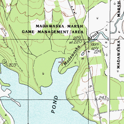 Topographic Map of Madawaska Brook, ME