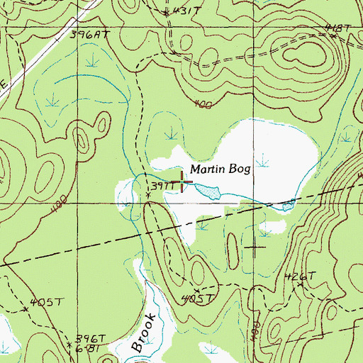 Topographic Map of Martin Bog, ME