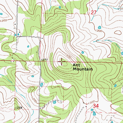 Topographic Map of Ant Mountain, AR