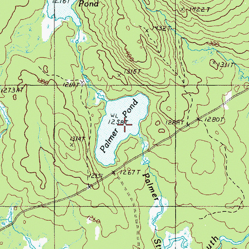 Topographic Map of Palmer Pond, ME