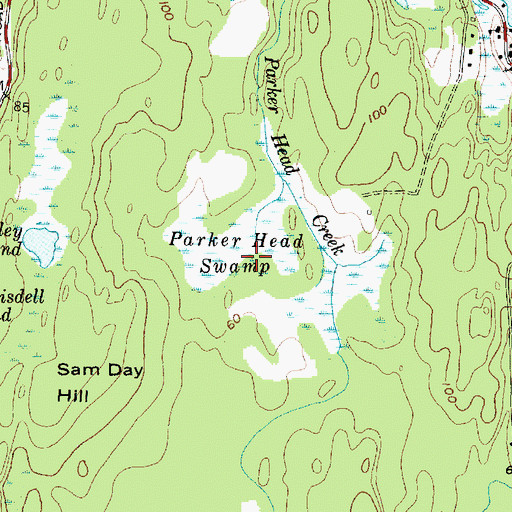 Topographic Map of Parker Head Swamp, ME
