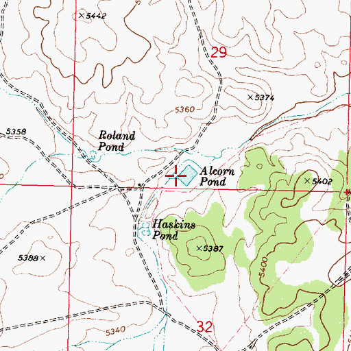 Topographic Map of Alcorn Pond, AZ