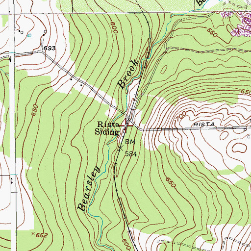 Topographic Map of Rista Siding, ME