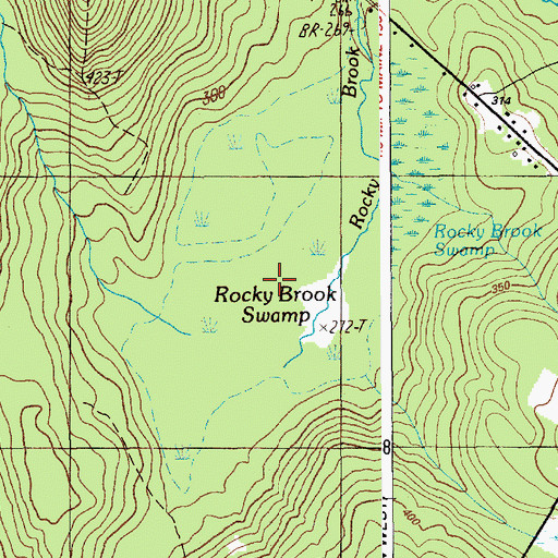 Topographic Map of Rocky Brook Swamp, ME