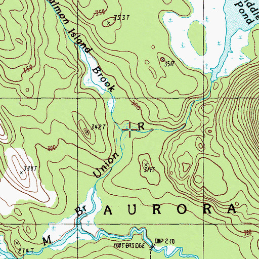 Topographic Map of Salmon Island Brook, ME