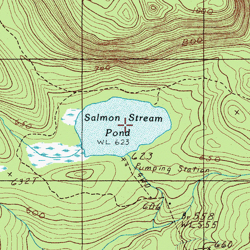 Topographic Map of Salmon Stream Pond, ME