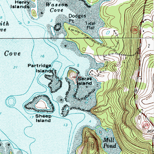 Topographic Map of Saras Island, ME