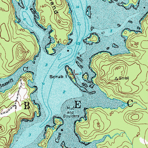 Topographic Map of Scrub Island, ME