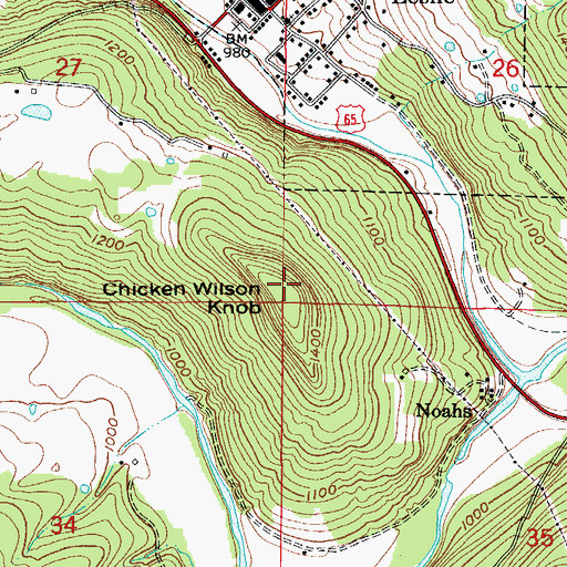 Topographic Map of Chicken Wilson Knob, AR